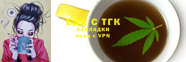 хмурый Алексин
