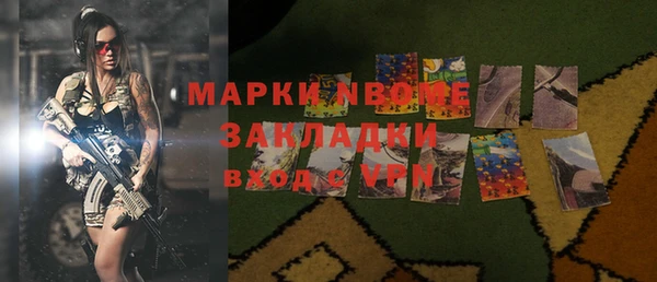 хмурый Алексин