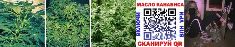 продажа наркотиков  Цоци-Юрт  Дистиллят ТГК гашишное масло 