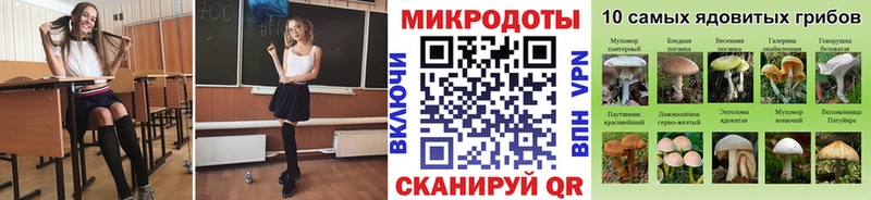 дарнет шоп  Цоци-Юрт  Галлюциногенные грибы прущие грибы 